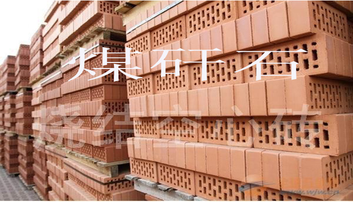 煤矸石空心砖