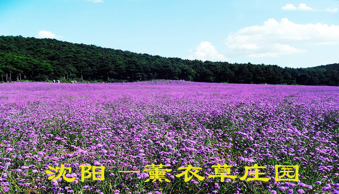 风景图